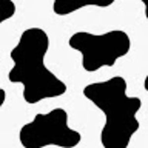 Meet your Posher, Ellie